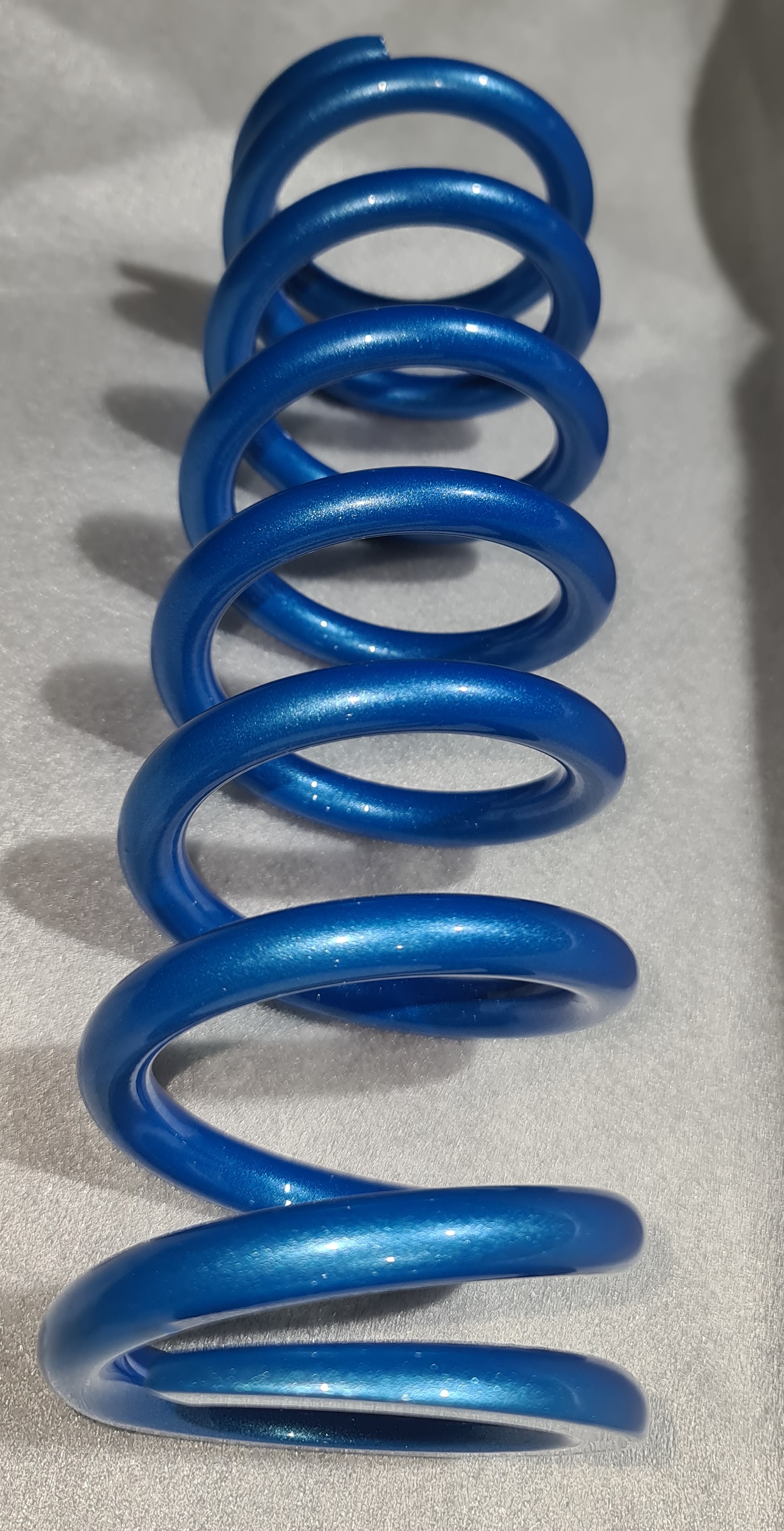 spring-dormant-blue – Combined Coatings Newcastle